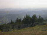 17 : 29