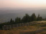 19 : 29