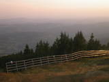 19 : 41