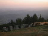 19 : 49