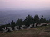 20 : 19