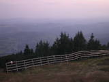 20 : 21