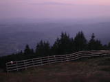 20 : 37