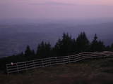 20 : 38