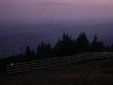 20 : 41