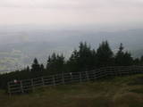 13 : 49