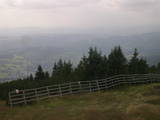 14 : 29