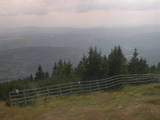 16 : 29