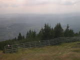 16 : 33