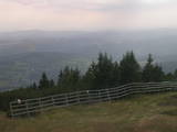 17 : 29