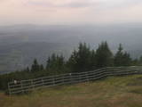 17 : 33