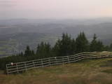 19 : 21