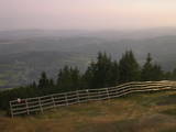 19 : 33