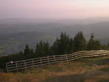 19 : 41