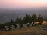 19 : 53