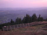 20 : 25