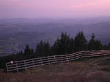20 : 31