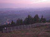 20 : 49