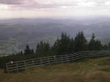 14 : 41