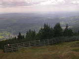 14 : 45