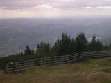 15 : 33
