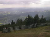 15 : 53