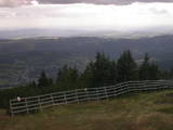 16 : 25