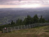 17 : 25