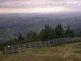 17 : 29