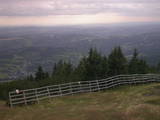 17 : 33