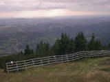 17 : 41