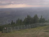 17 : 49
