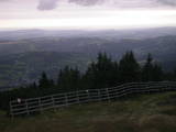 19 : 21