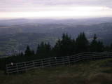 19 : 29