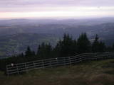 19 : 37