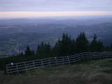 20 : 19