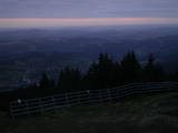 20 : 25