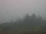 09 : 23