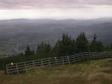 14 : 17