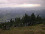 16 : 29