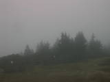 16 : 53