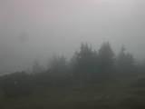17 : 17