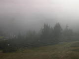 17 : 29