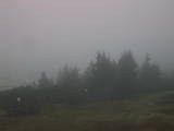 17 : 49