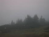 18 : 45