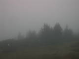 18 : 53