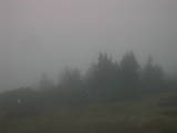 19 : 01