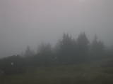 19 : 11