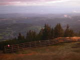 19 : 59