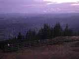 20 : 29